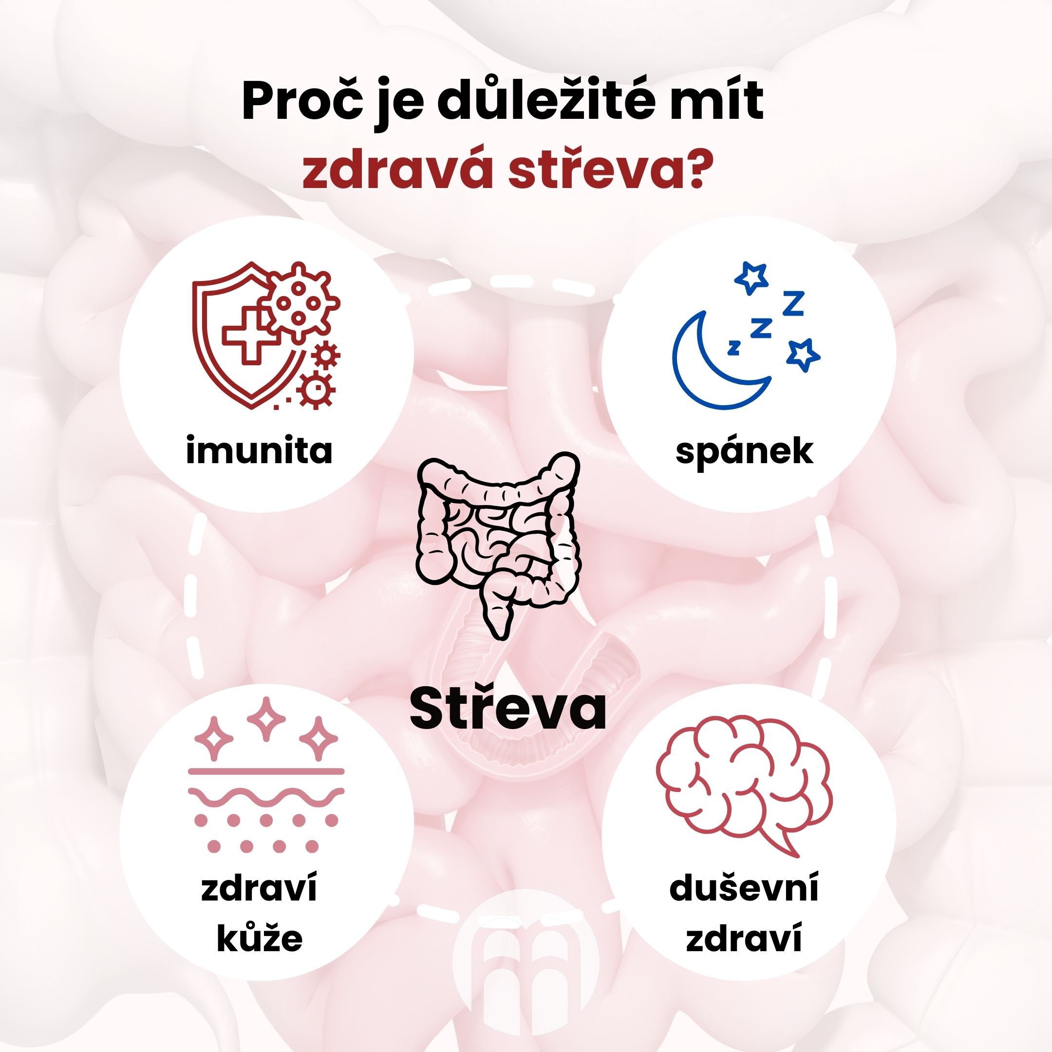 Proč je důležité mít  zdravá střeva